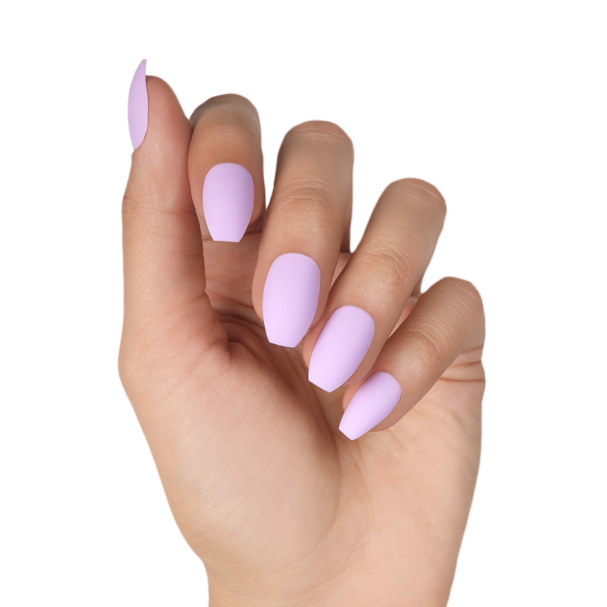 Lilac Coffin
